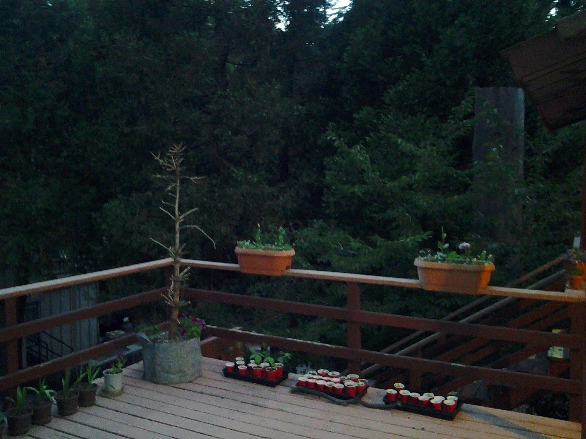 Arrowhead Mountain Inn Lake Arrowhead Εξωτερικό φωτογραφία